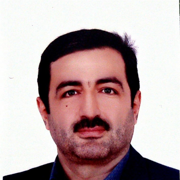 Hamid Reza  Naji
