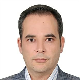 Mohammad Javad  Zarea